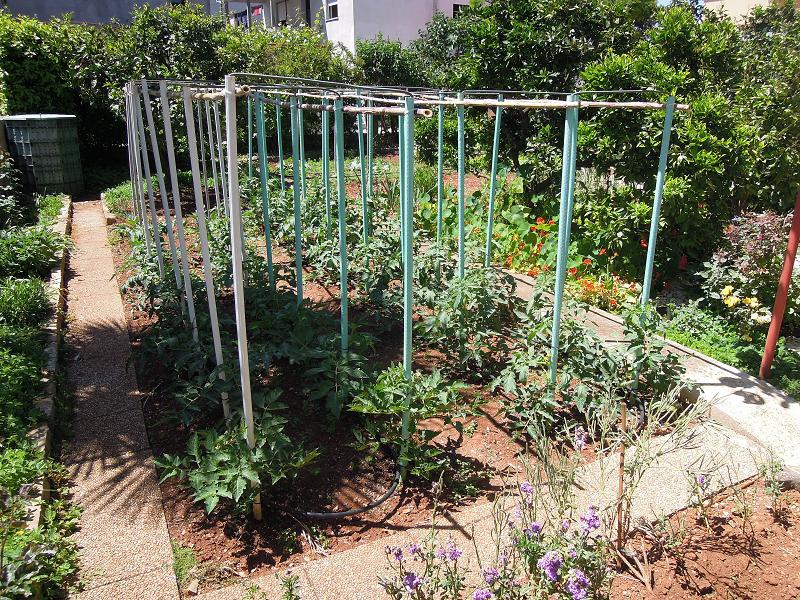 Courtyard with garden