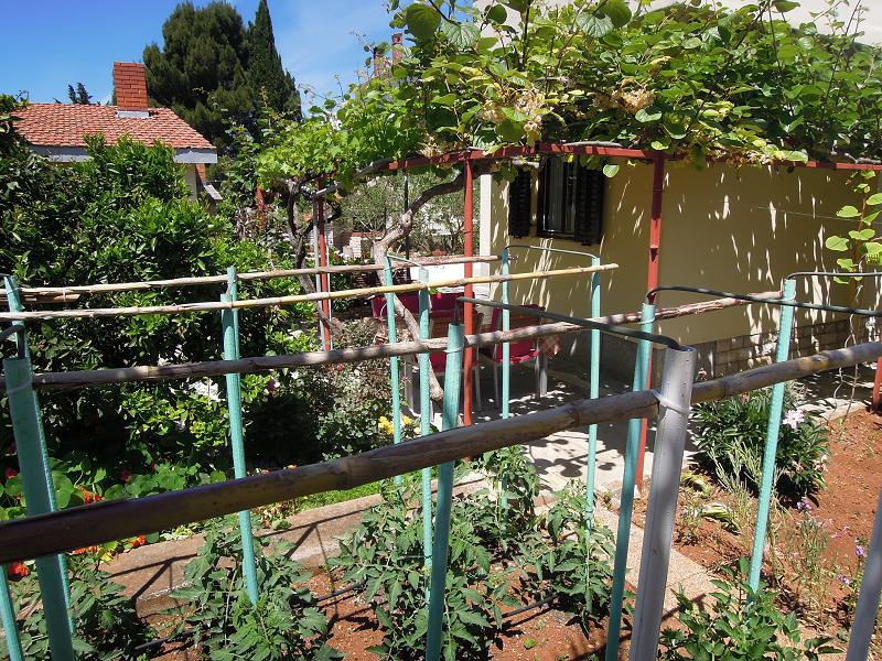 Courtyard with garden