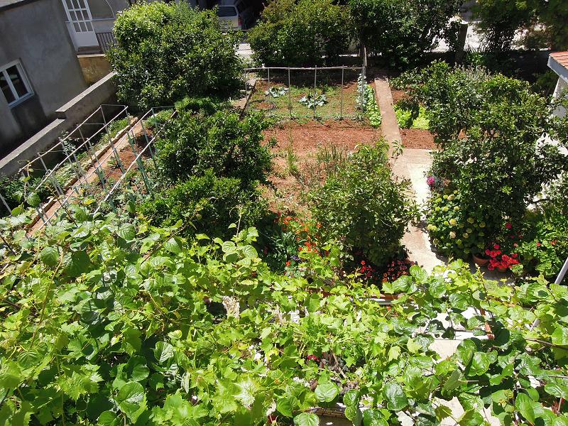 Courtyard with garden