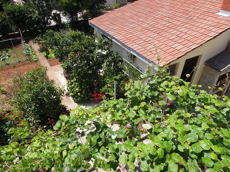 Courtyard with garden